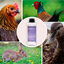 Finca casarejo soludetox suplemento alimenticio para aves de corral y conejos, , large indicador imagen numero 4